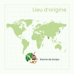 SanaExpert Figur Aktiv