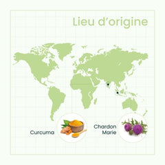 SanaExpert LeberVital Pro