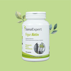 SanaExpert Figur Aktiv