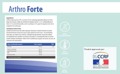 SanaExpert Arthro Forte