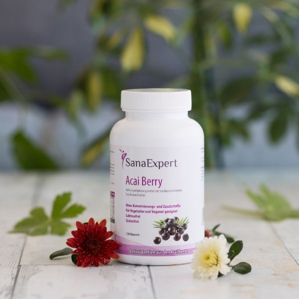 AcaiBerry-Acai-Fruta-SanaExpert-Suplementos-Nutricionales-Alimenticios-Naturales-Belleza-Energía